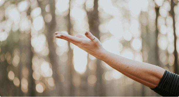 Wellness Programs